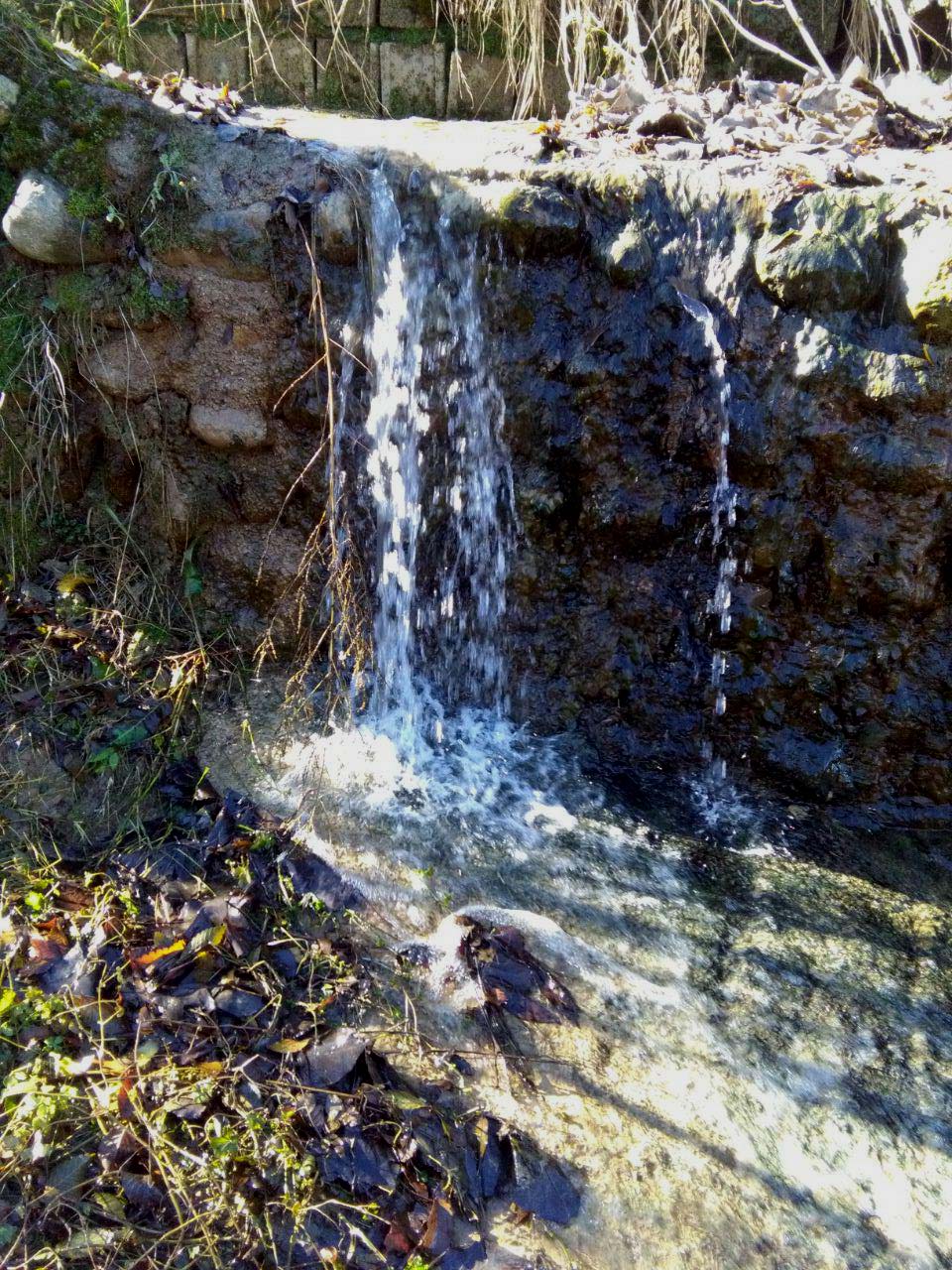 1_2_.jpg (960×1280)