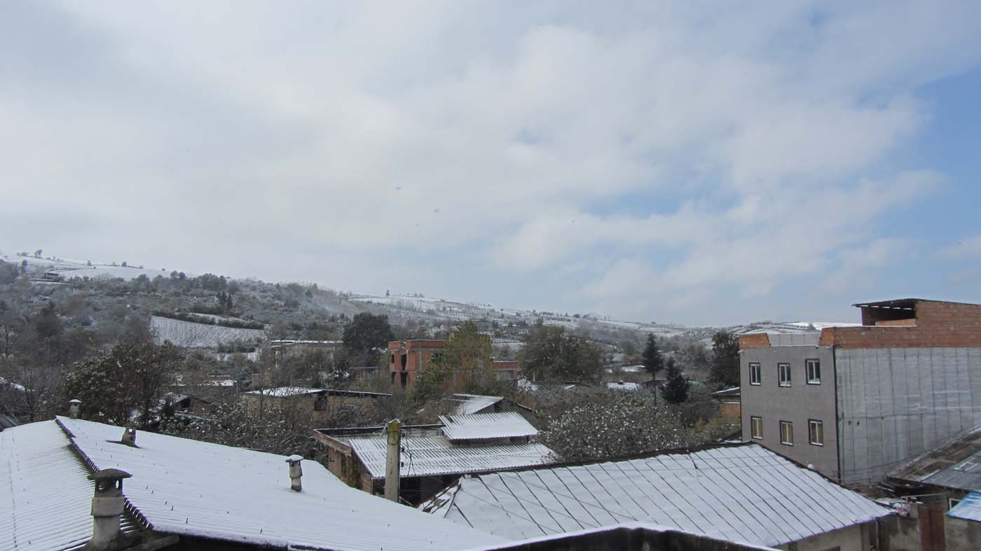 1_8_.jpg (1400×787)