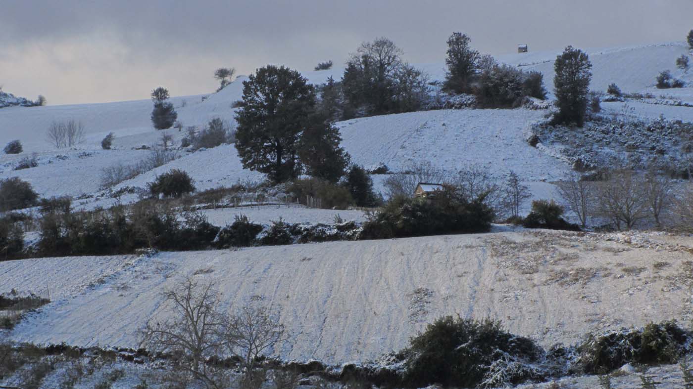 1_14_.jpg (1400×787)