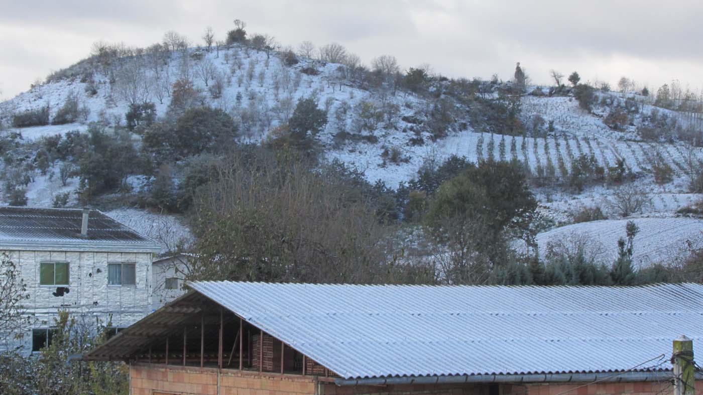 1_18_.jpg (1400×787)