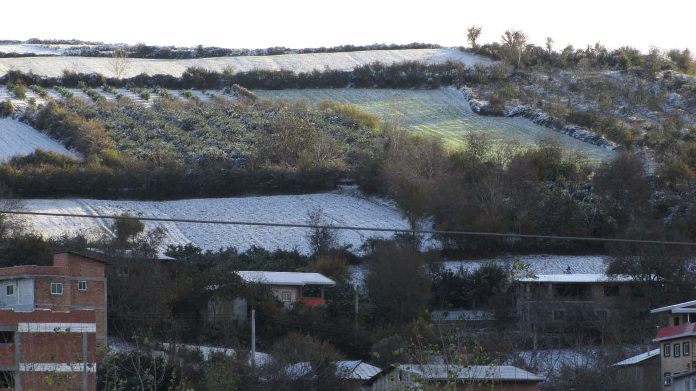 1_22_.jpg (1400×787)