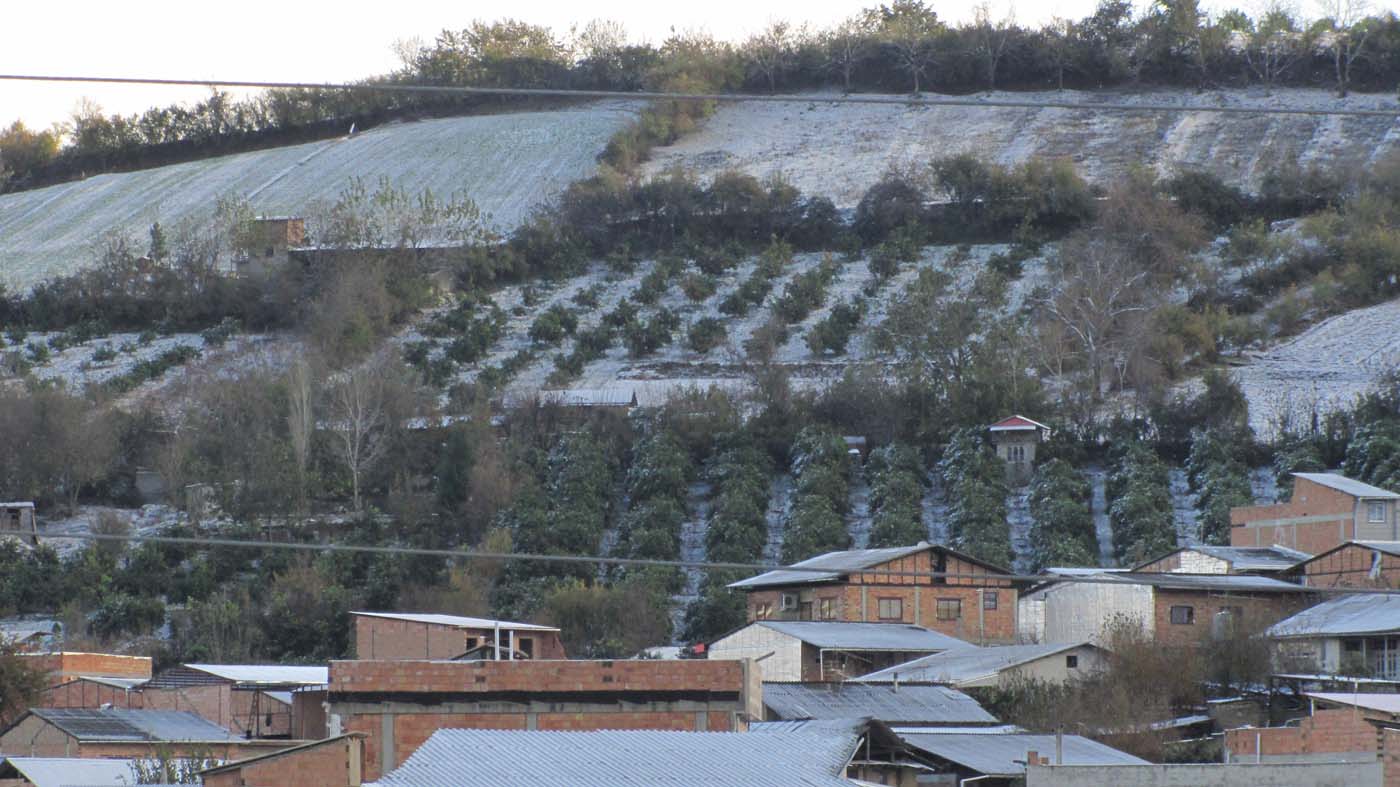 1_26_.jpg (1400×787)