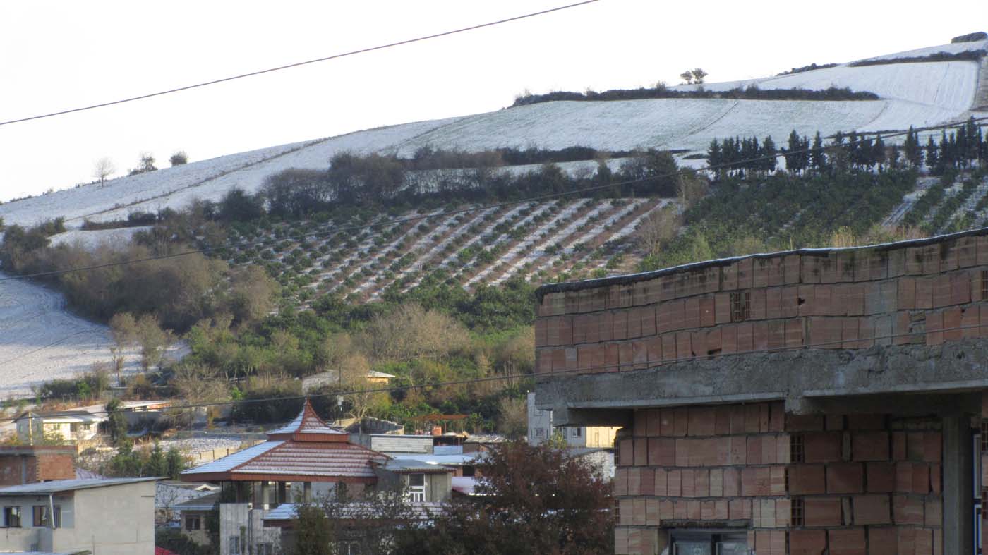 1_27_.jpg (1400×787)