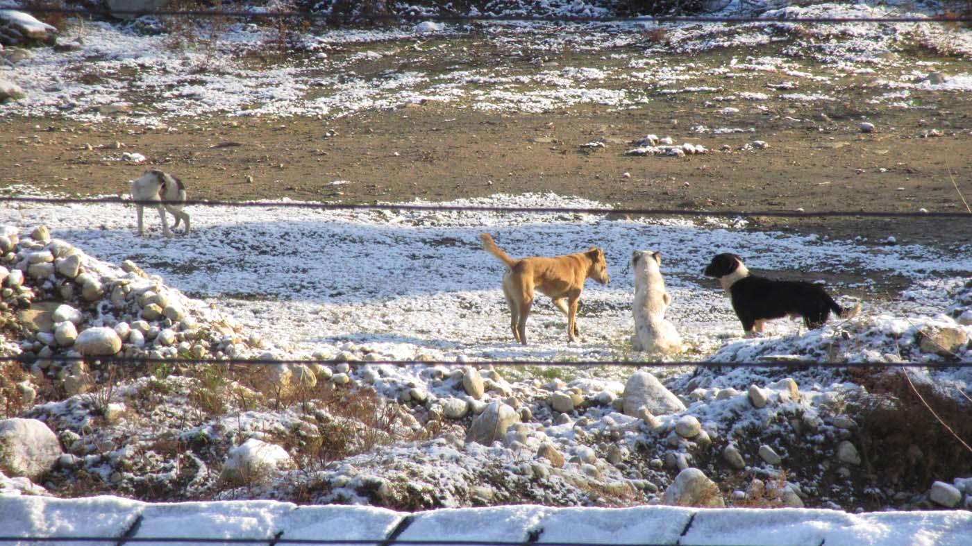 1_33_.jpg (1400×787)