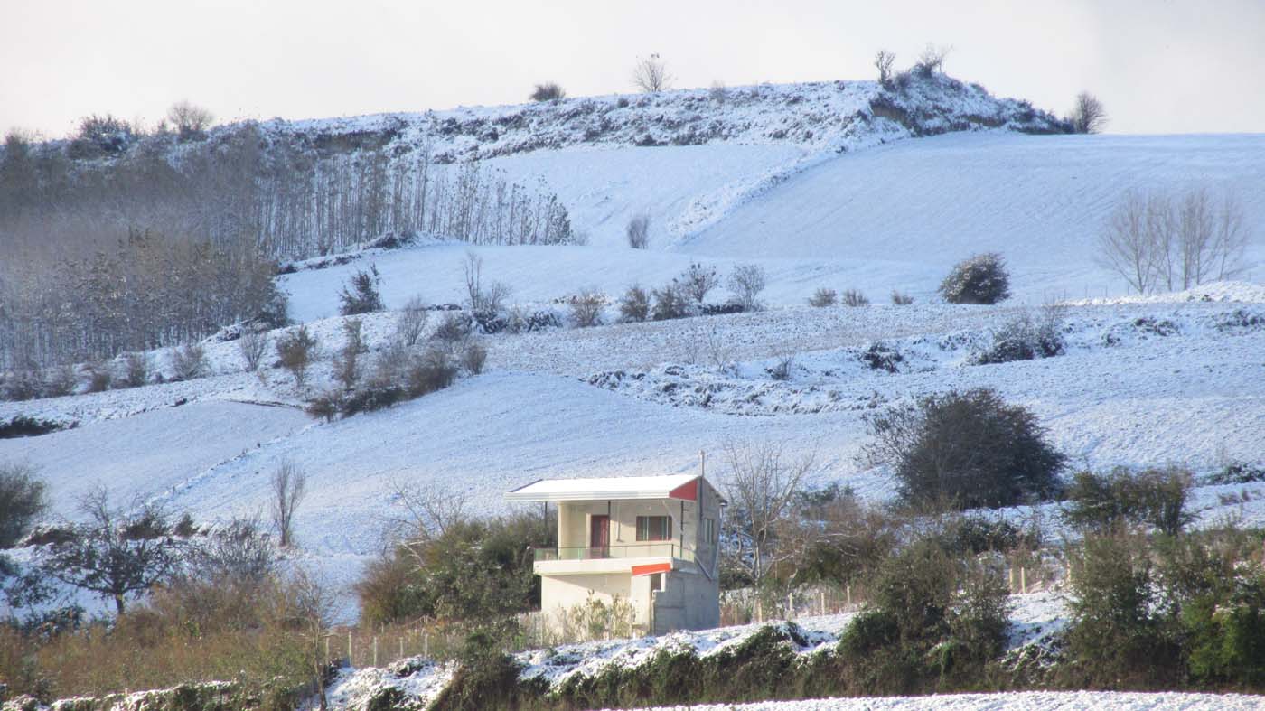 1_34_.jpg (1400×787)