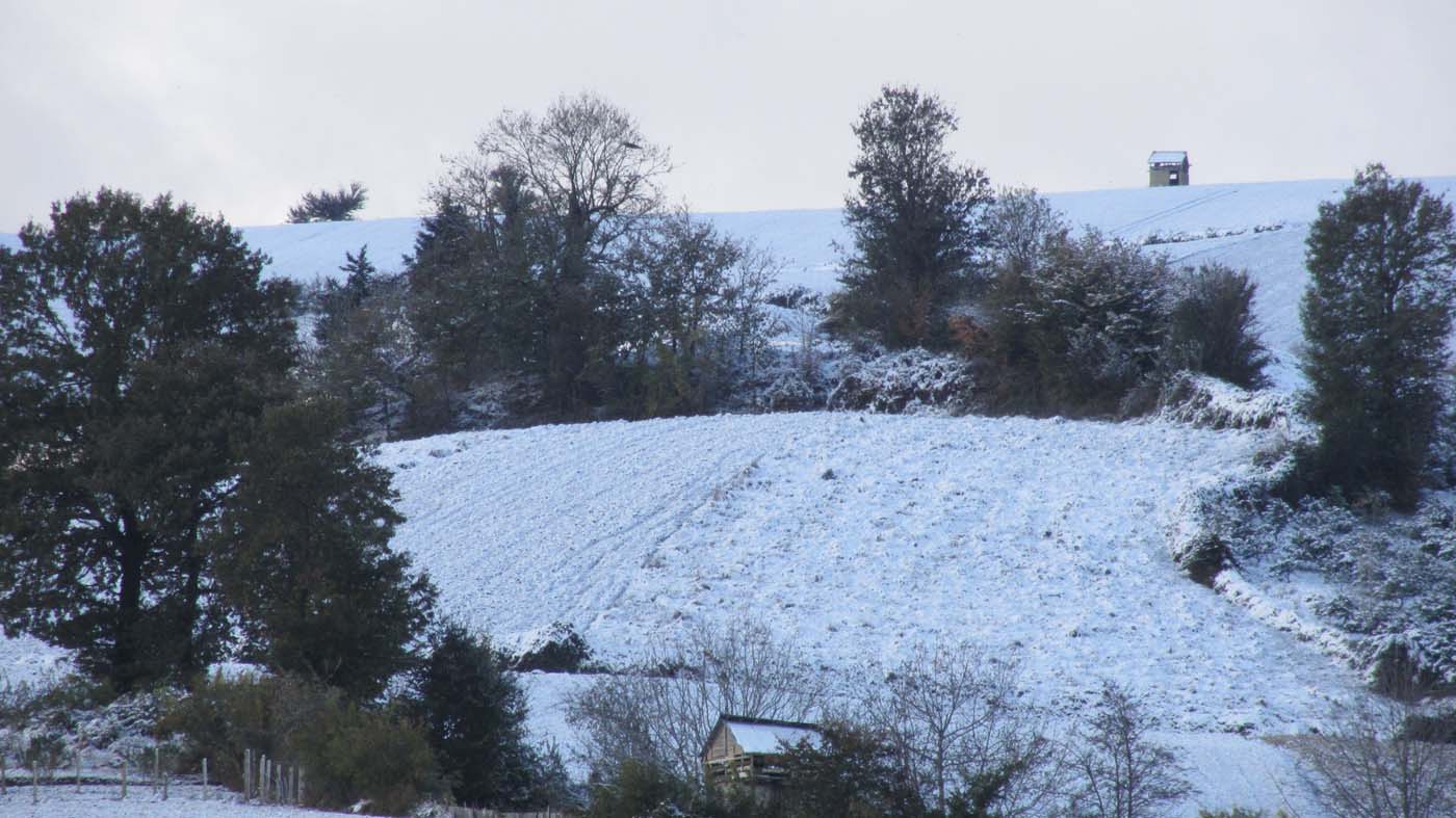 1_36_.jpg (1400×787)