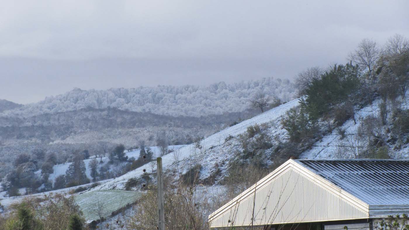 1_37_.jpg (1400×787)