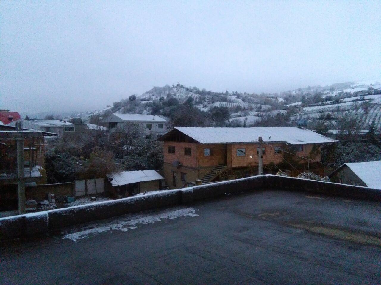 1_40_.jpg (1280×960)