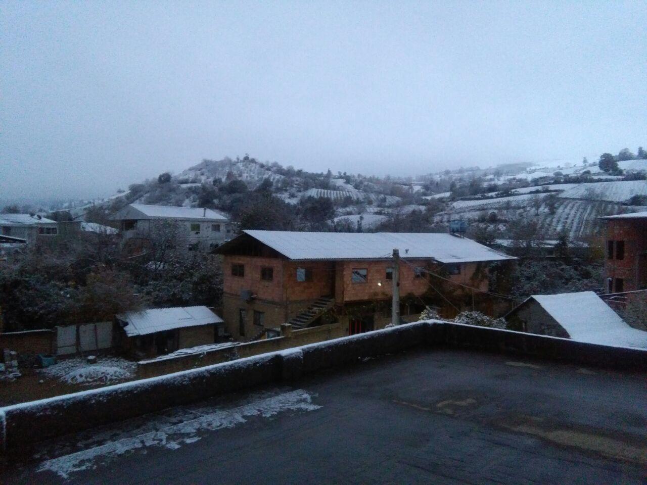 1_44_.jpg (1280×960)