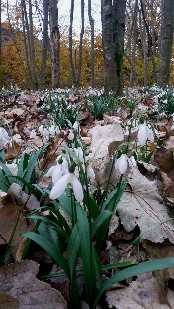 1_1_.jpg (720×1280)