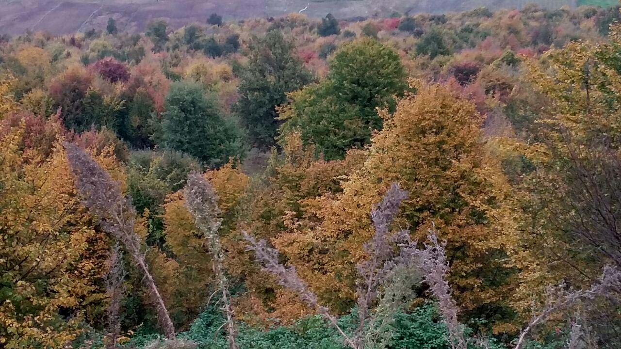 1_3_.jpg (1280×720)