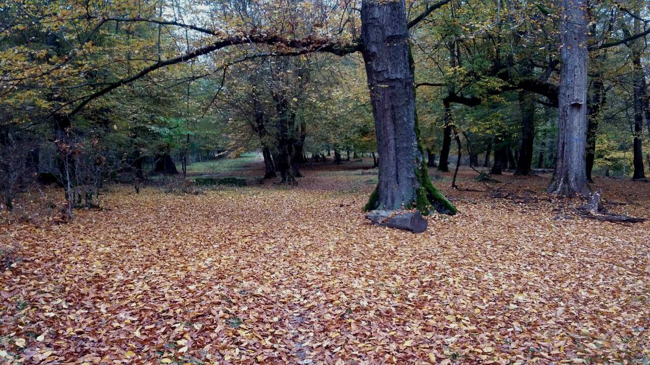 1_5_.jpg (1280×720)