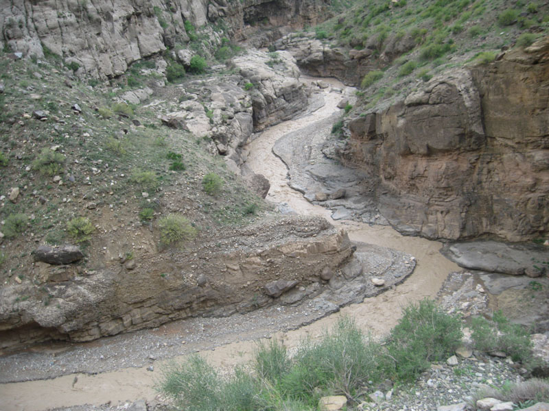 کوهنوردی