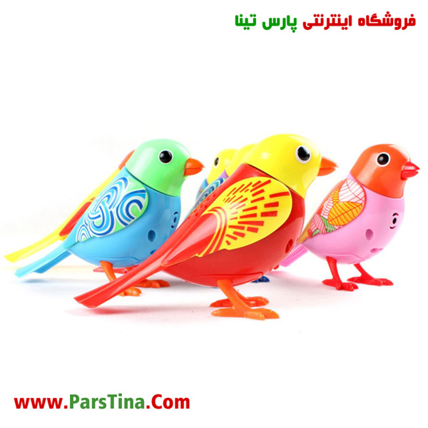 فروش بلبل جينو