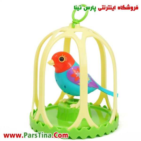 بلبل رباتيك جينو