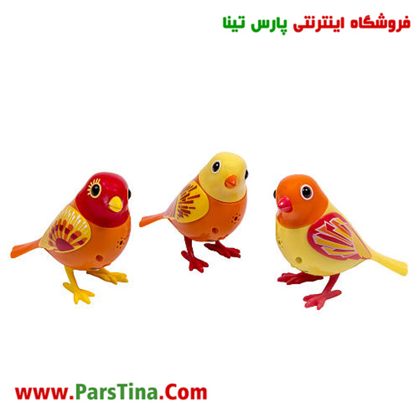 خريد بلبل رباتيك جينو