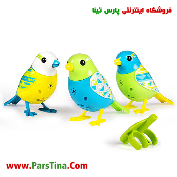 بلبل جينو تويز