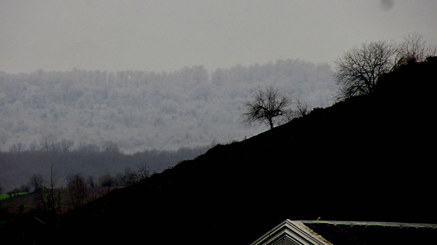 1_1_.JPG (1500×843)