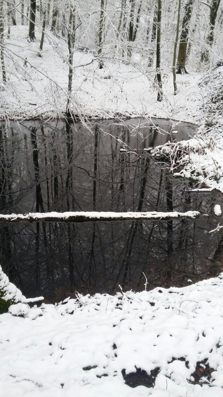 1_1_.jpg (720×1280)