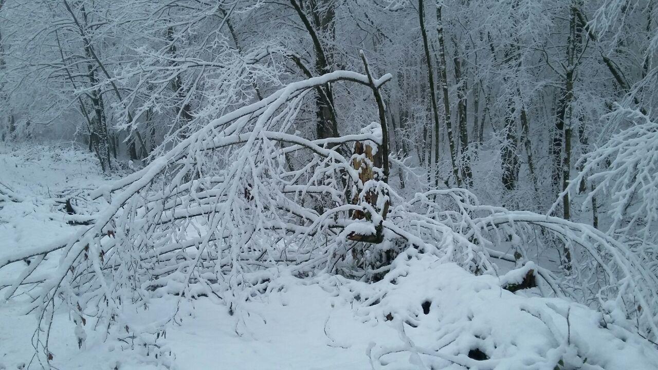 1_2_.jpg (1280×720)