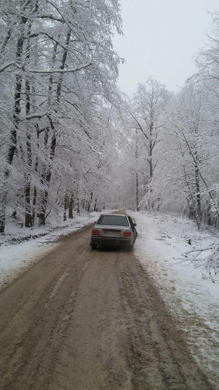 1_3_.jpg (720×1280)