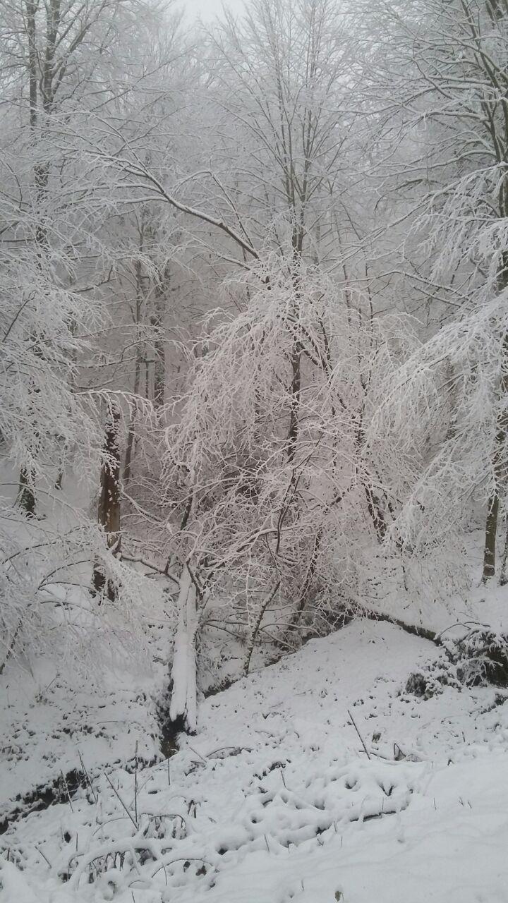 1_5_.jpg (720×1280)