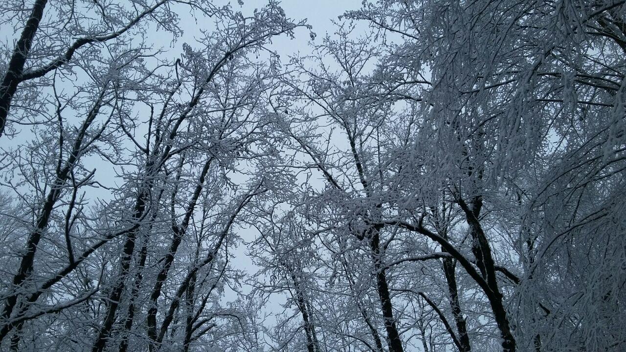 1_14_.jpg (1280×720)