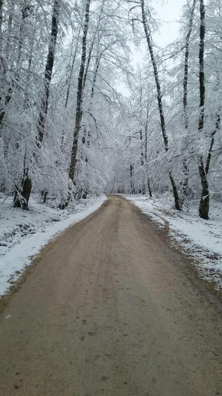 1_20_.jpg (720×1280)