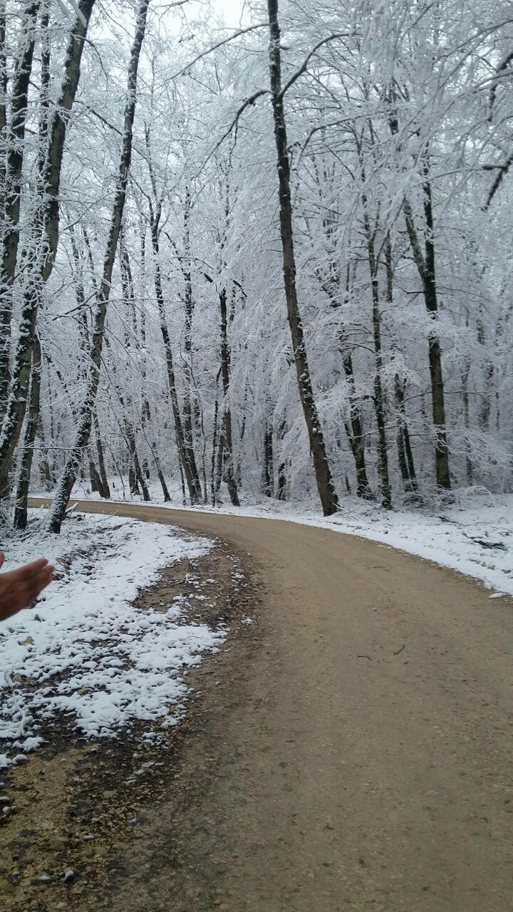 1_21_.jpg (720×1280)