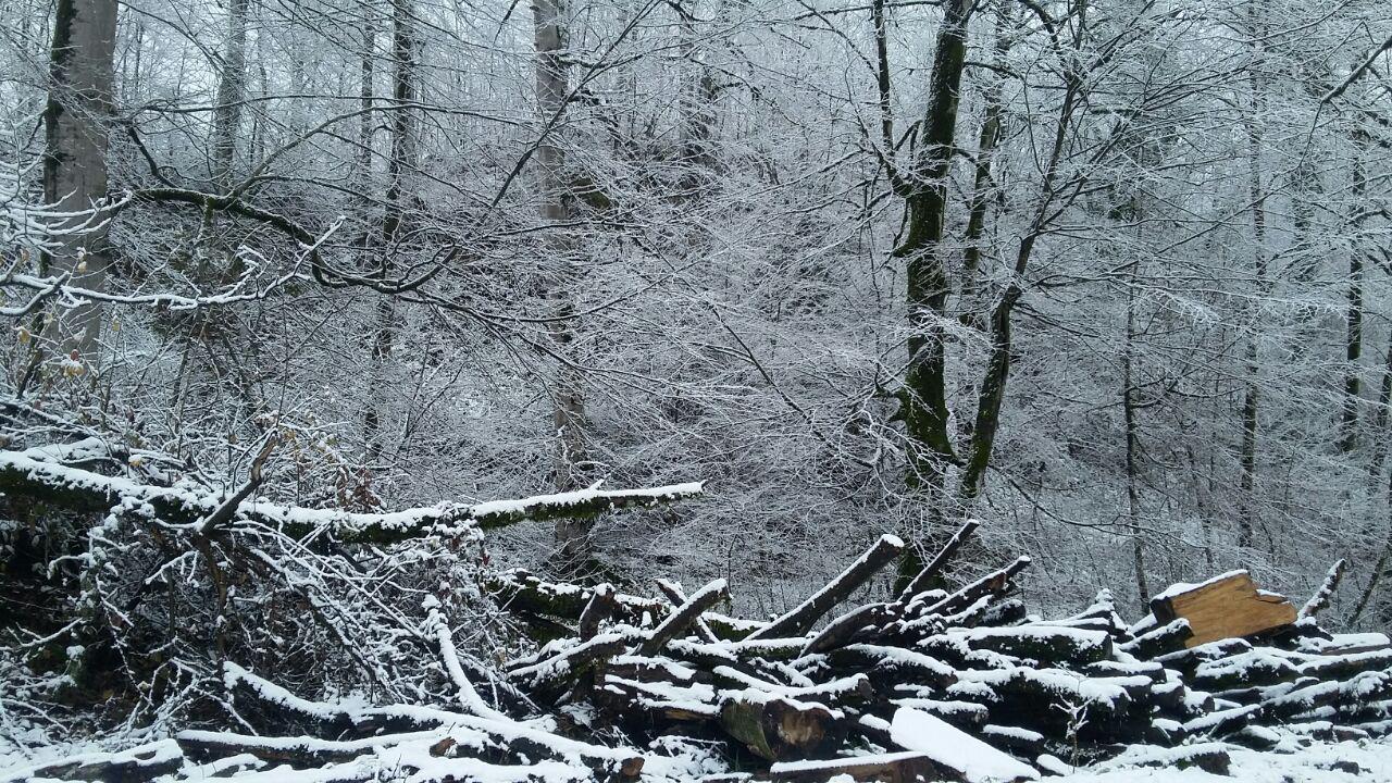 1_22_.jpg (1280×720)