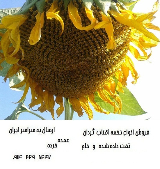 فروش انواع تخمه