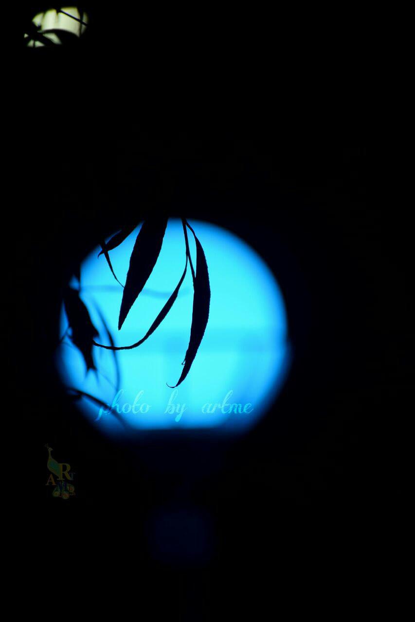 http://s8.picofile.com/file/8279237742/photo_2016_12_20_10_16_23.jpg