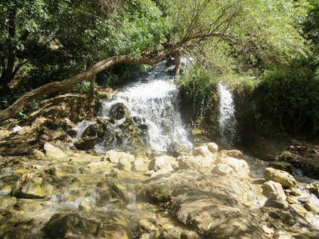 http://s8.picofile.com/file/8279281200/IMG_5234.JPG