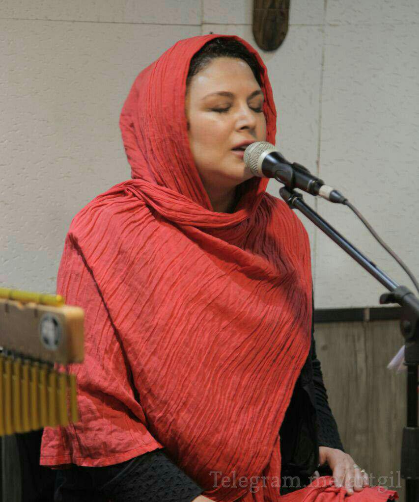 شهره سلطانی از برگزاری کنسرتش می گوید !
