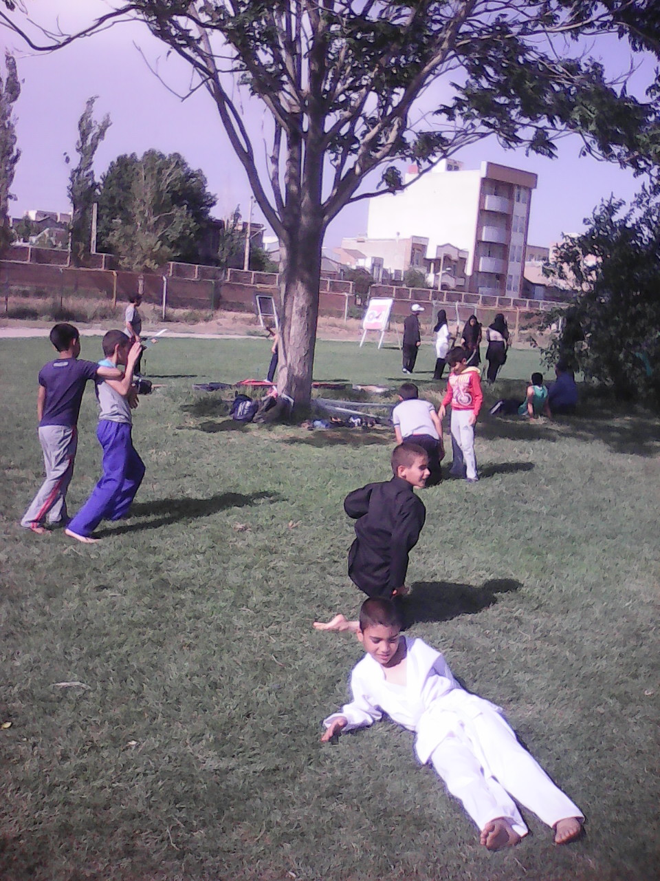 http://s8.picofile.com/file/8281237576/IMG_20100109_001633.jpg