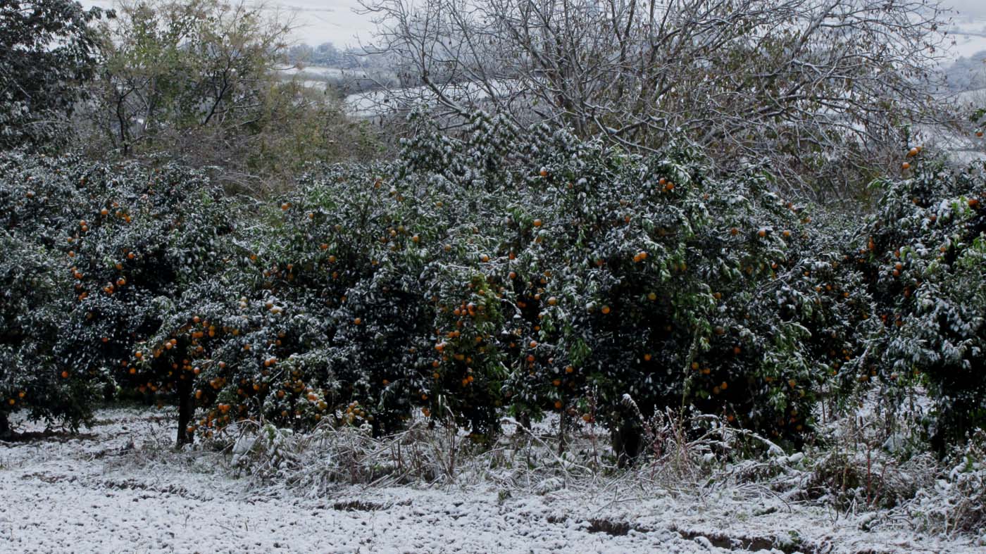 1_5_.JPG (1400×787)