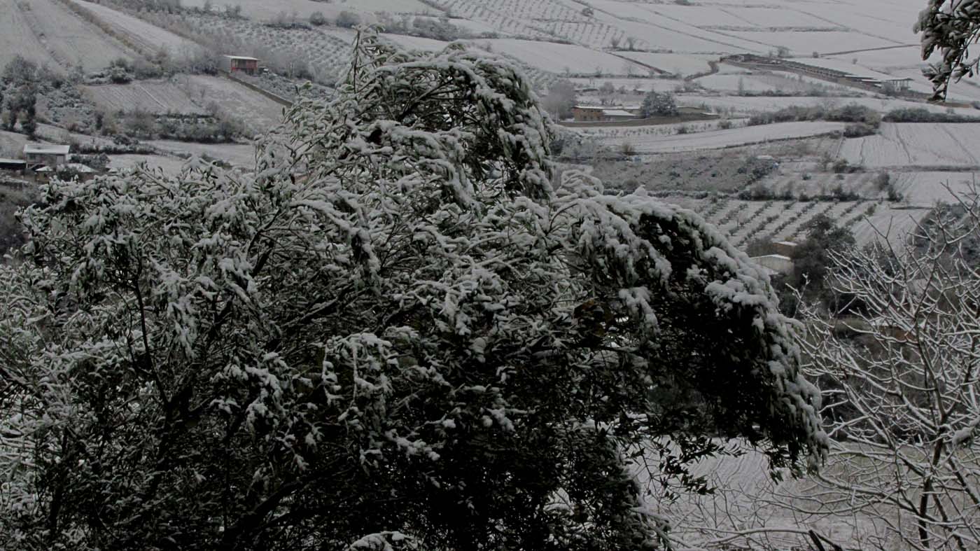 1_7_.JPG (1400×787)