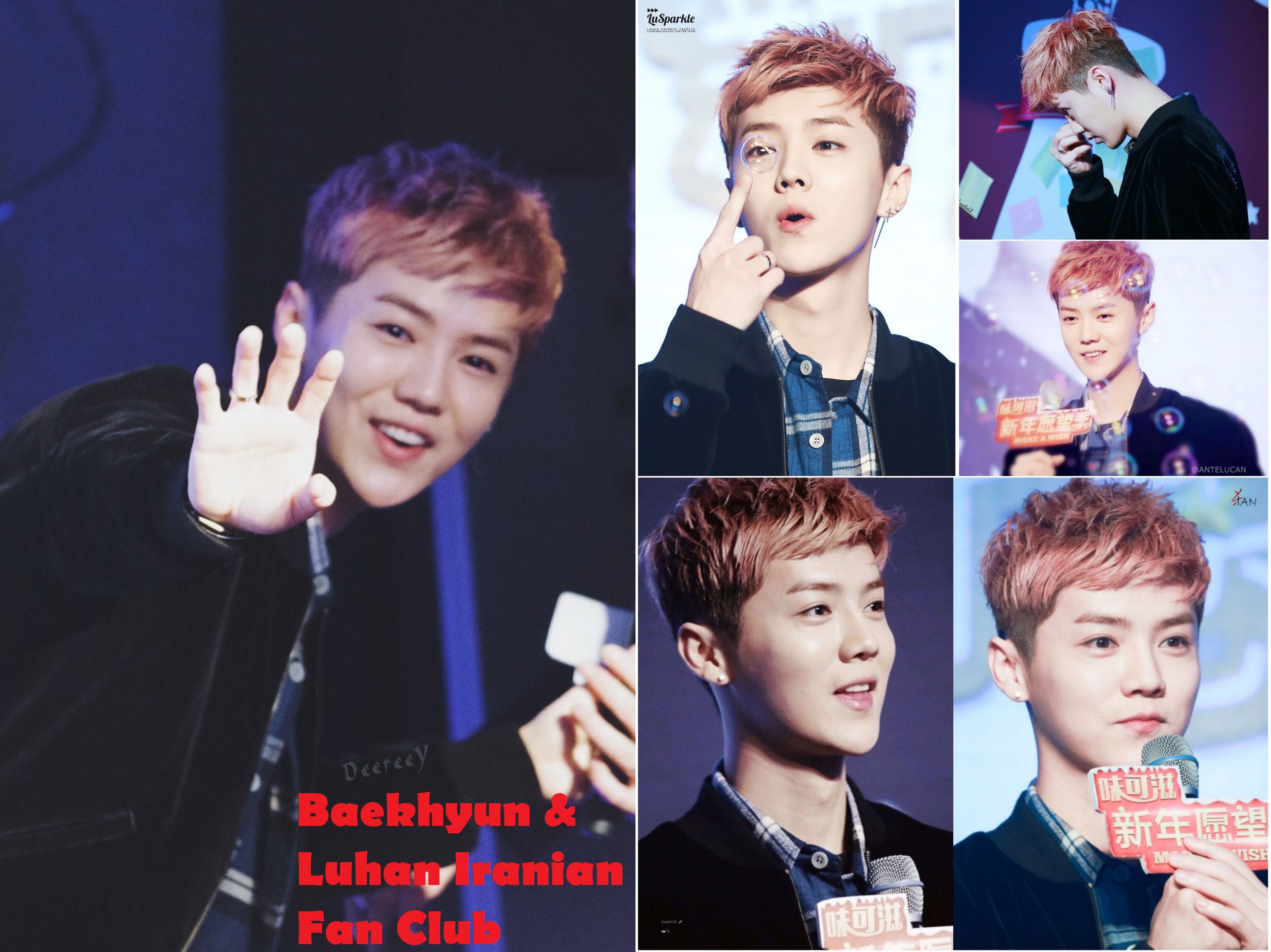 Baekhyun & Luhan Iranian Fan Club
