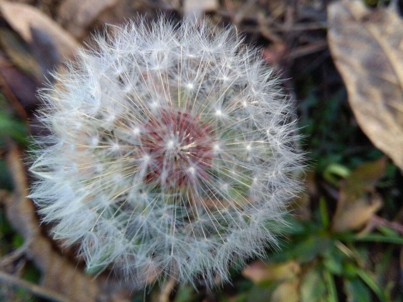 1_14_.jpg (1280×960)