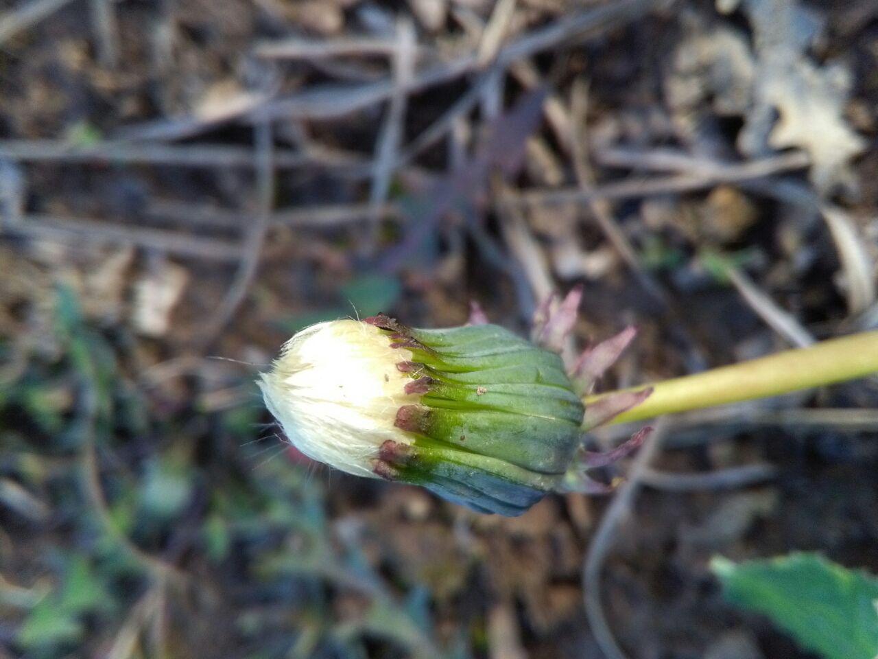 1_15_.jpg (1280×960)