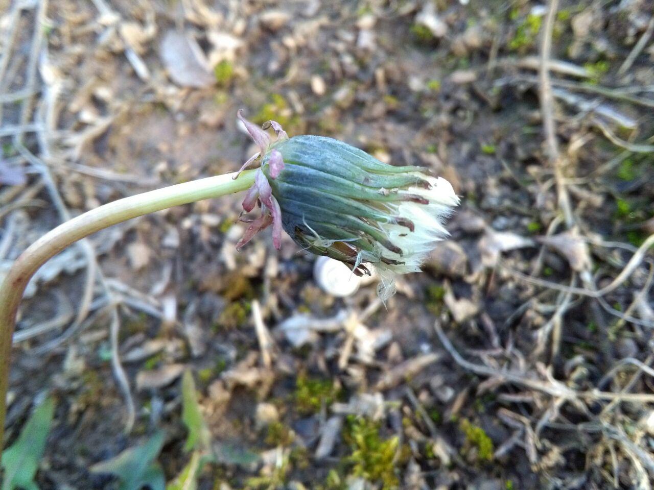 1_16_.jpg (1280×960)