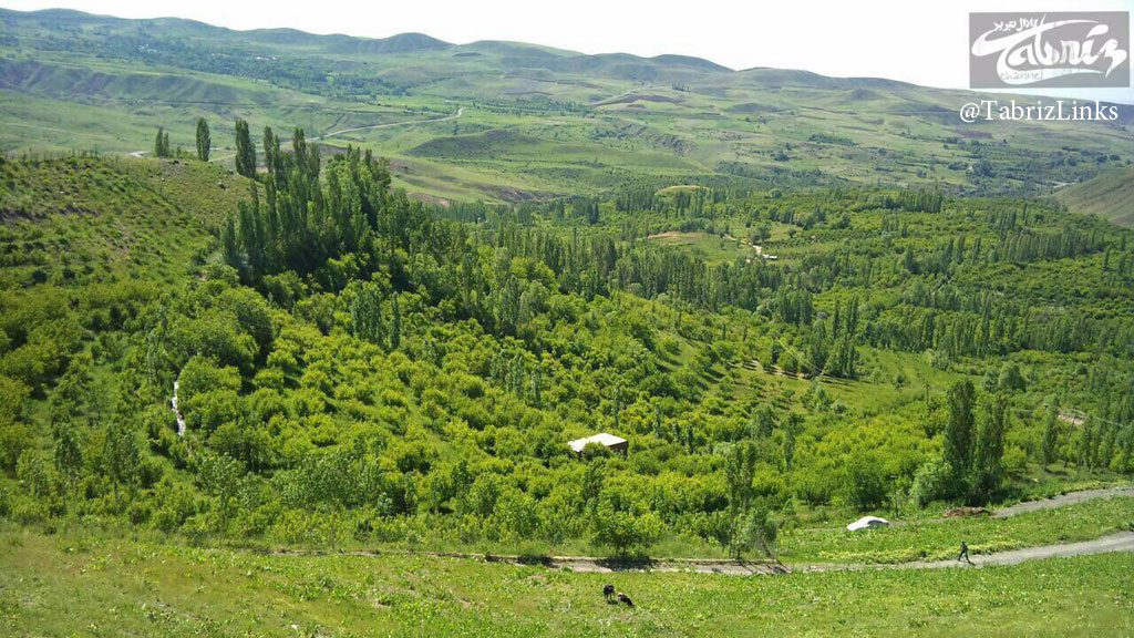 شهرستان میانه