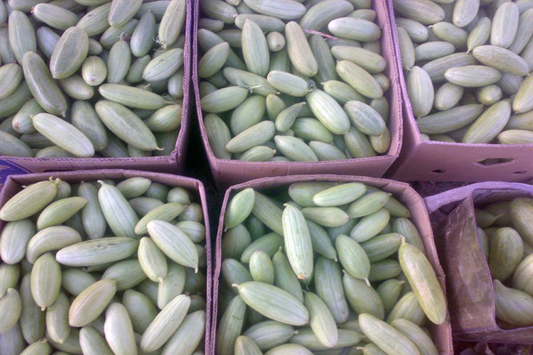 شهرستان میانه