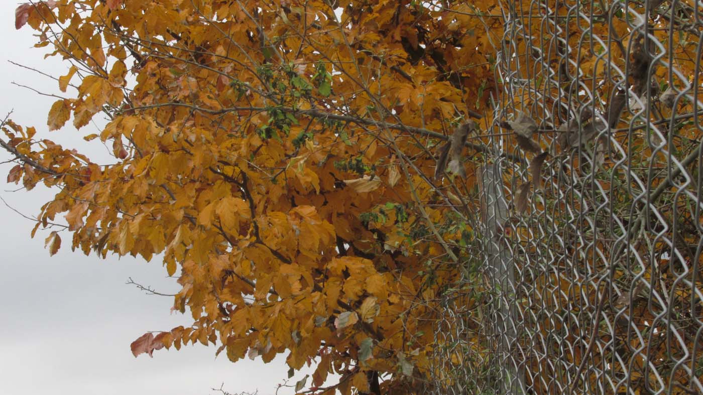 1_4_.jpg (1400×787)