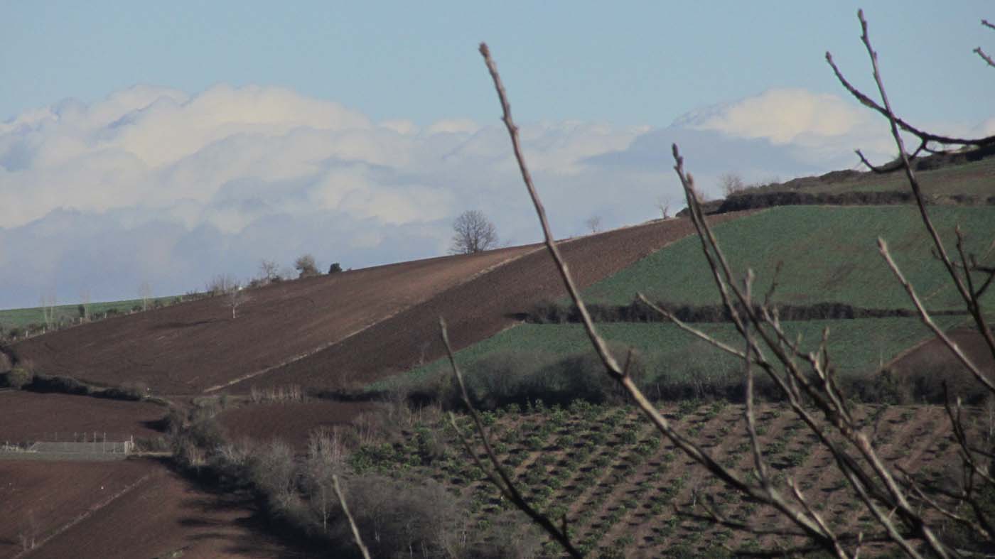 1_13_.jpg (1400×787)