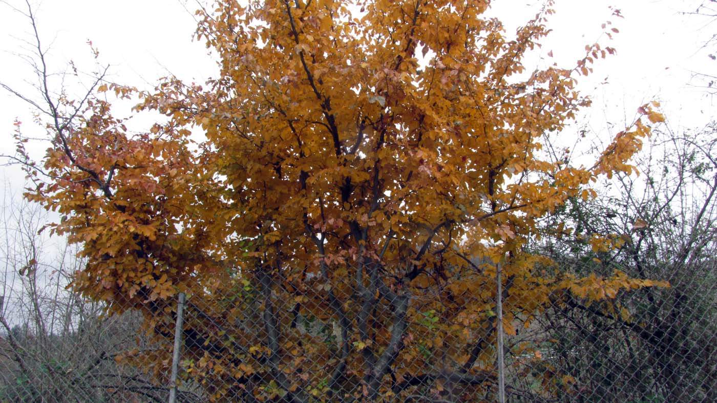 1_25_.jpg (1400×787)