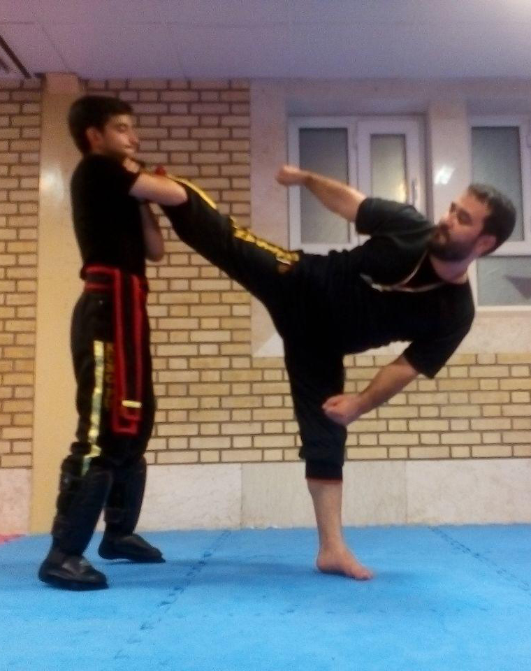 http://s8.picofile.com/file/8282380600/33.jpg
