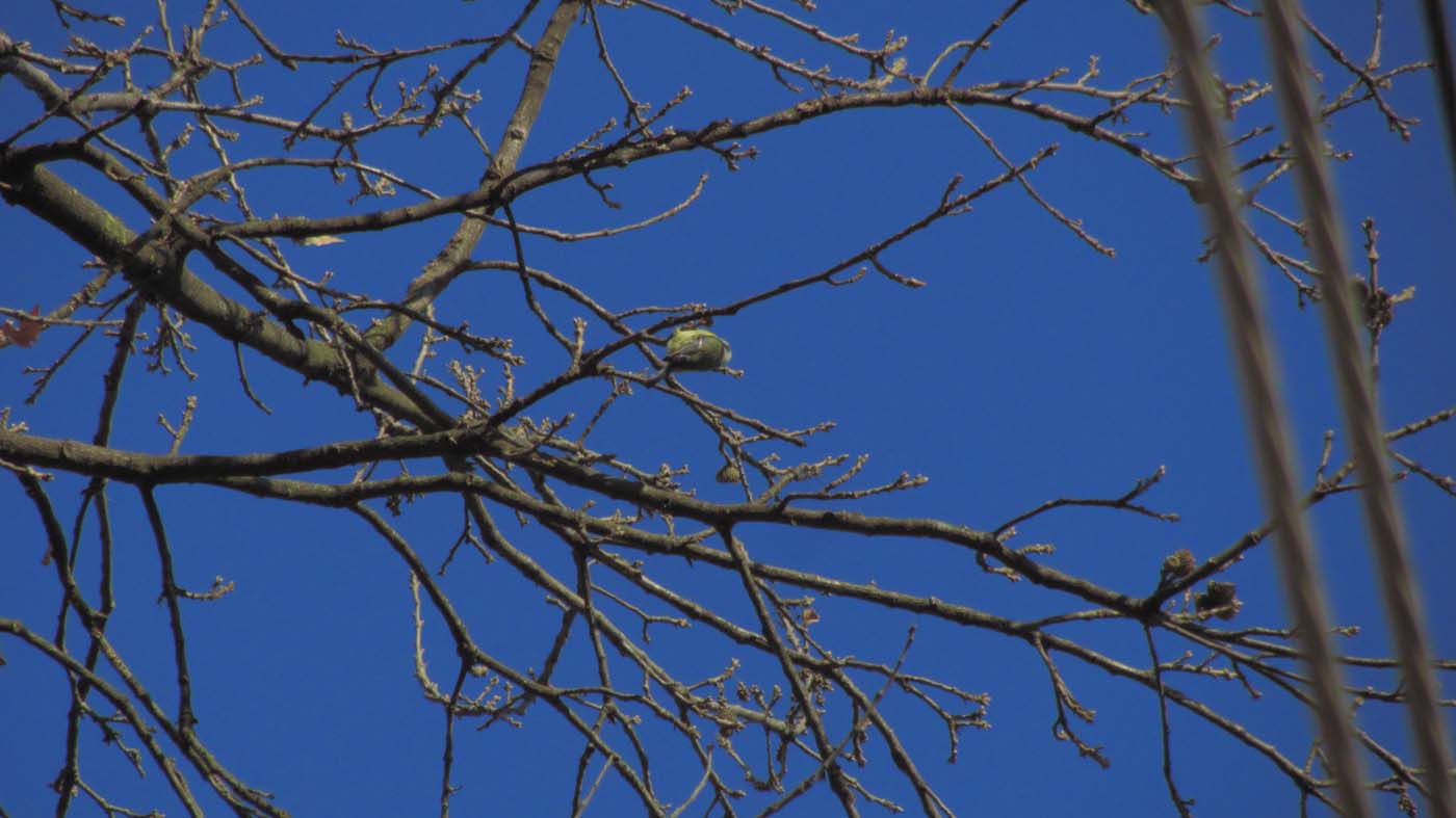 1_1_.jpg (1400×787)