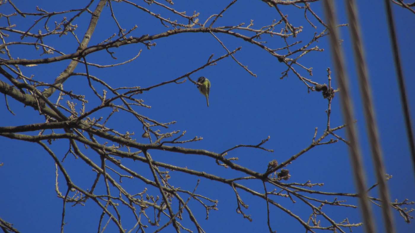 1_3_.jpg (1400×787)