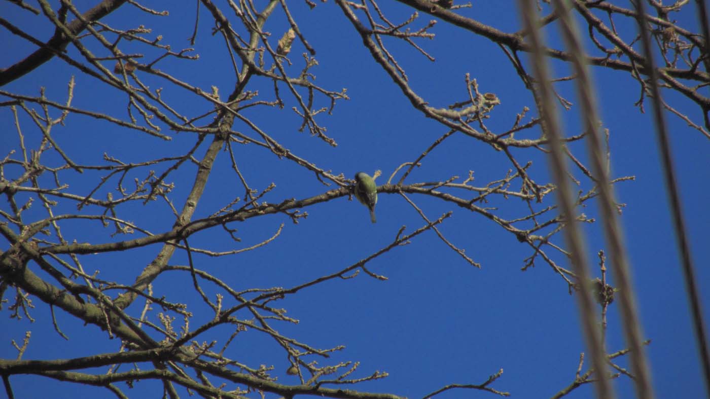 1_5_.jpg (1400×787)